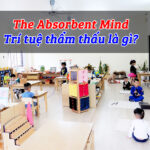 Trí tuệ thẩm thấu là gì? “The Absorbent Mind”